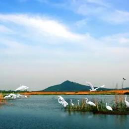 <strong>复苏河湖生态环境 实现河湖功能永续利用</strong>